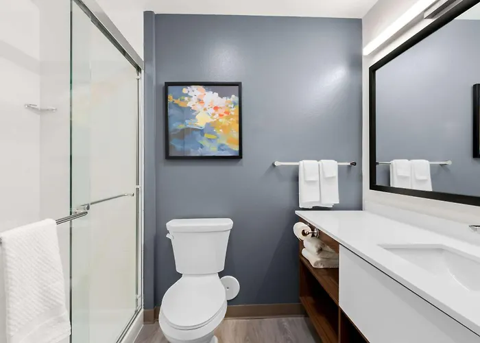 Everhome Sports Entertainment District By Choice Glendale