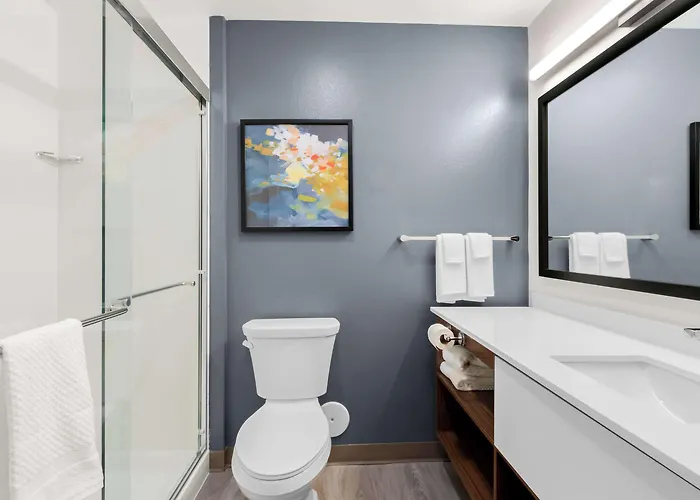 Hotel Everhome Sports Entertainment District By Choice Glendale